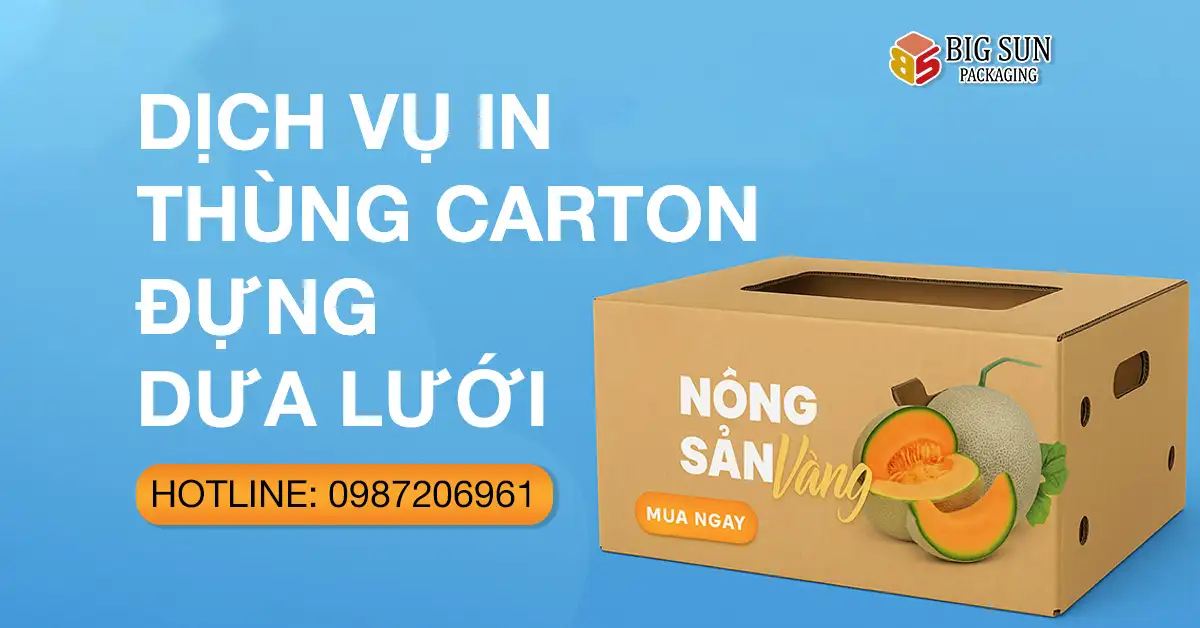 Dịch vụ in thùng carton đựng dưa lưới tại Big Sun