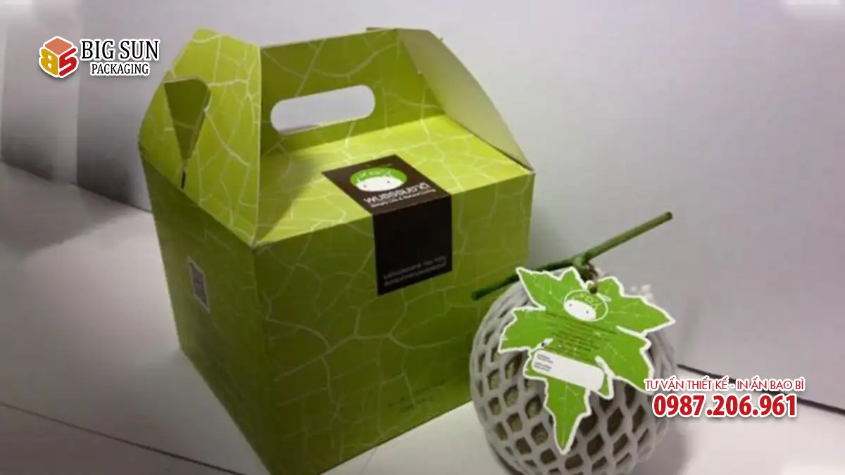 Mẫu carton dưa lưới xuất khẩu