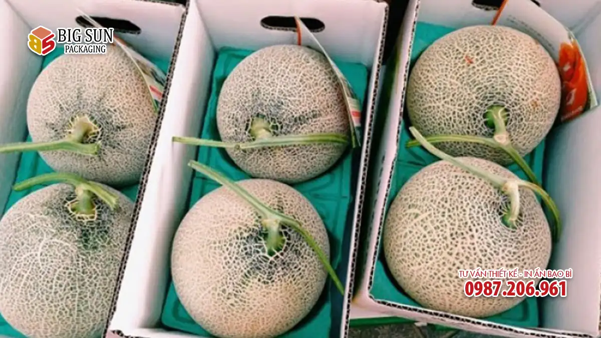 thùng carton 3 lớp đựng 2 quả dưa lưới