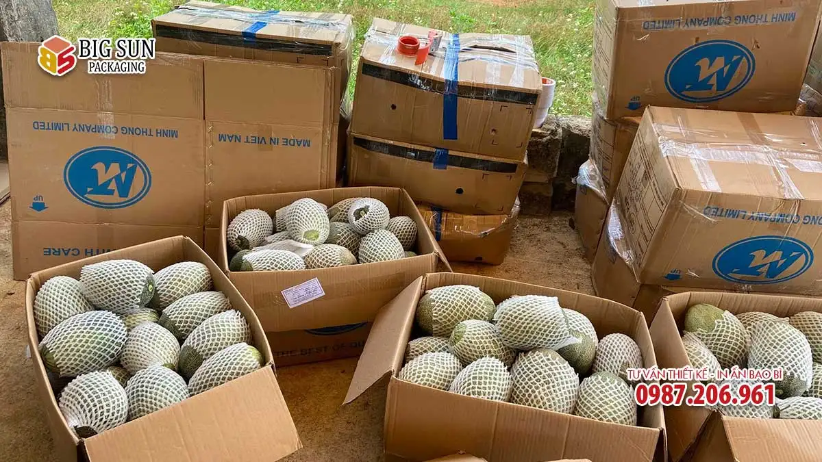 Thùng đựng dưa lưới thu hoạch tại vườn