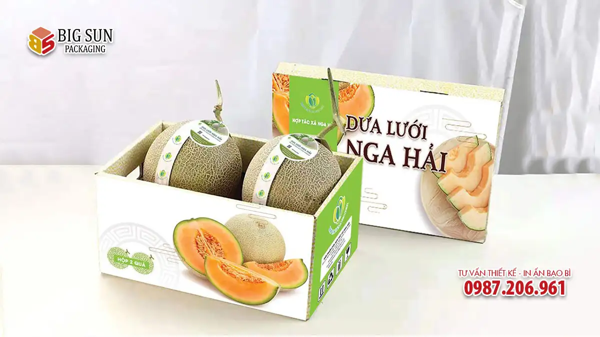 Carton đựng dưa lưới Nga Hải