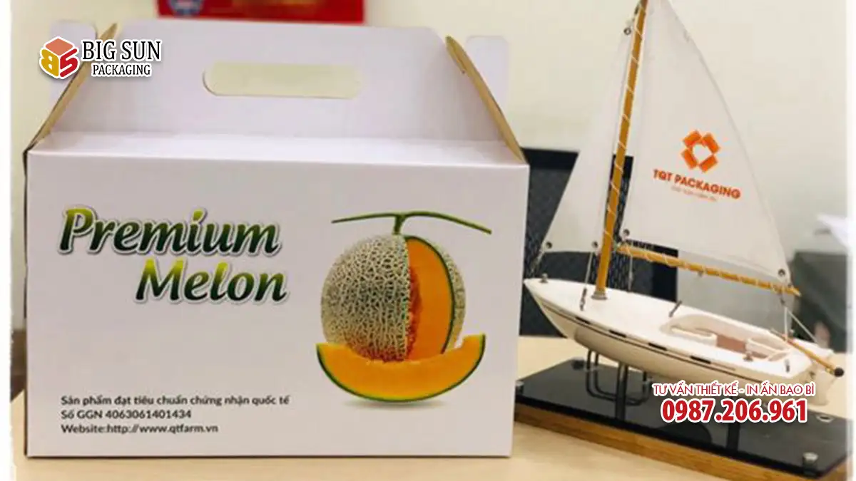 Thùng đựng dưa lưới cao cấp thương hiệu Premium Melon