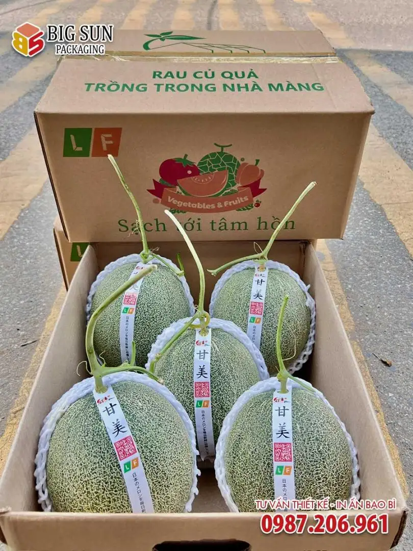 Carton đựng dưa lưới LF