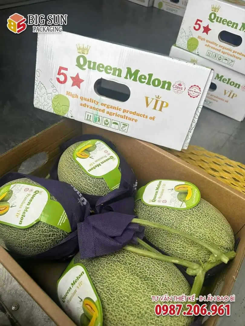 Carton đựng dưa lưới Queen Melon