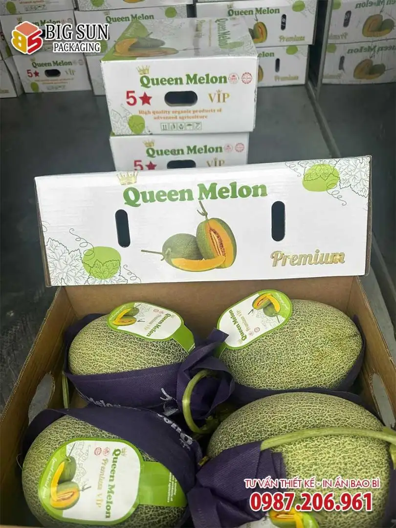 Carton đựng dưa lưới Queen melon nắp âm dương