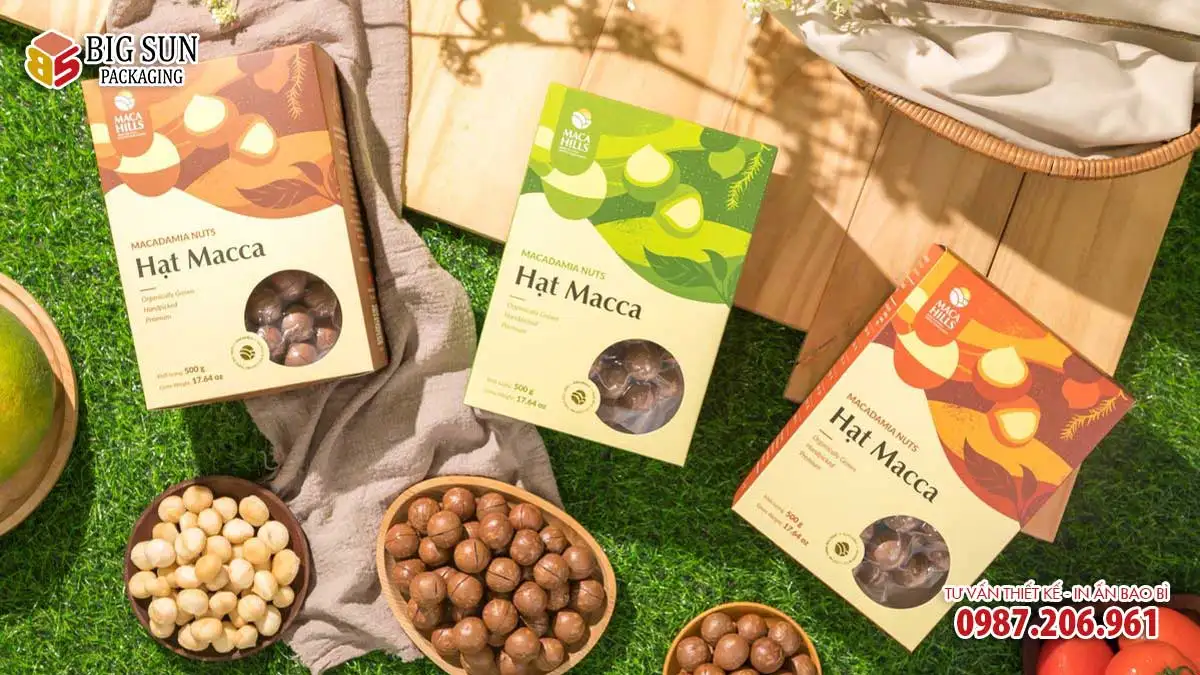 in hộp giấy đựng hạt macca