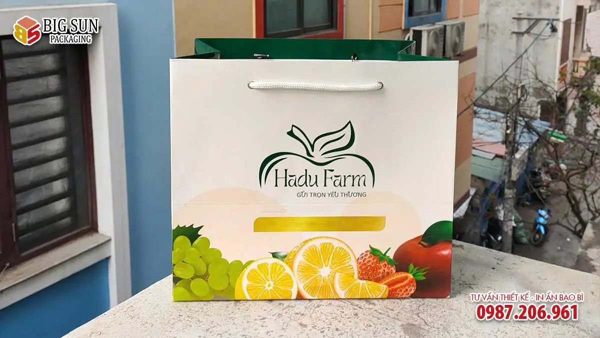 Mẫu túi giấy đựng hoa quả Hadu Farm do Big Sun in ấn