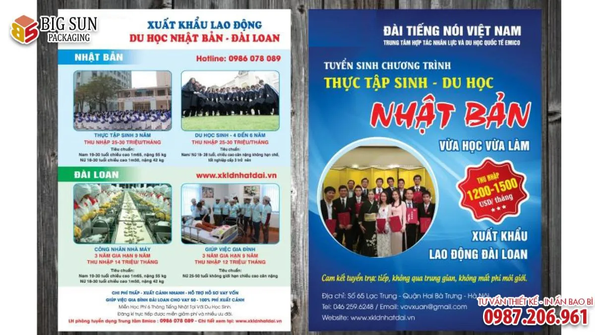 Bí quyết thiết kế tờ rơi du học tiếng Nhật thu hút và chuyên nghiệp (6)