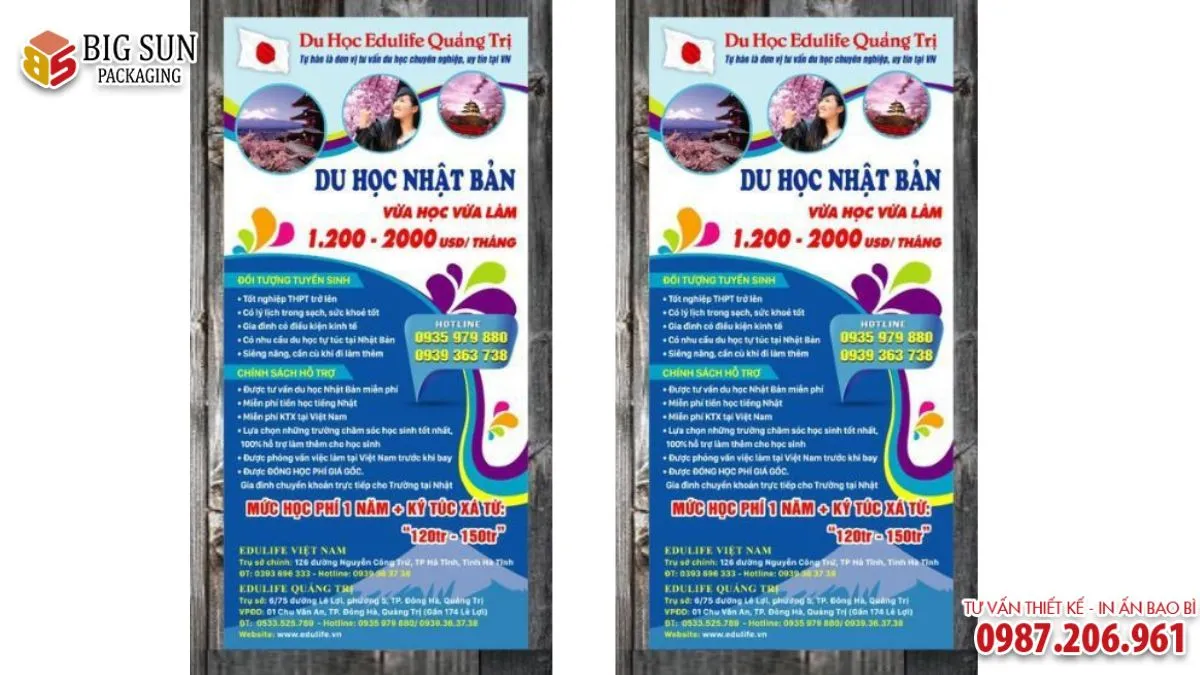 Bí quyết thiết kế tờ rơi du học tiếng Nhật thu hút và chuyên nghiệp (6)