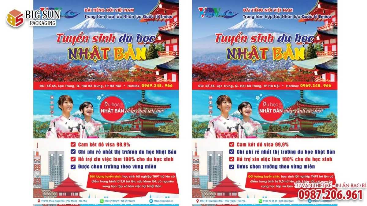 Bí quyết thiết kế tờ rơi du học tiếng Nhật thu hút và chuyên nghiệp (6)