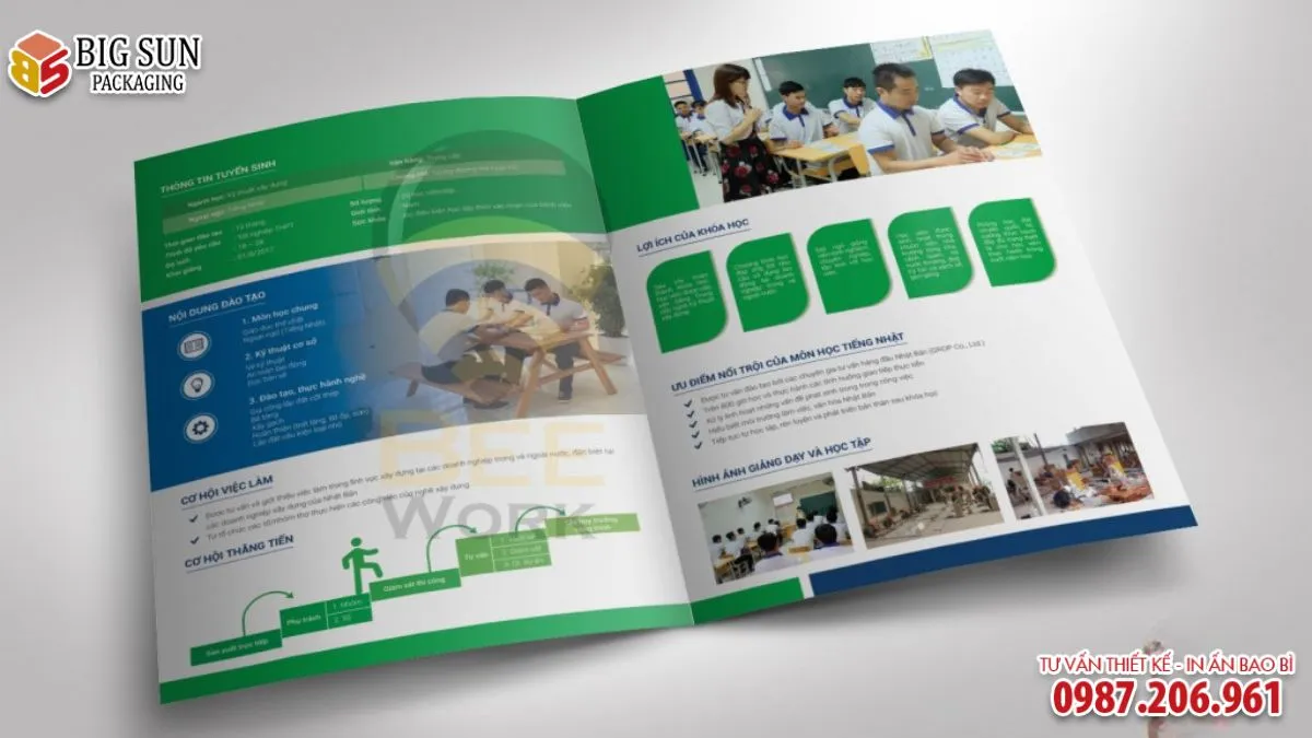 Brochure Tuyển sinh Bí quyết quảng bá giáo dục hiệu quả thông qua nghệ thuật in ấn (2)