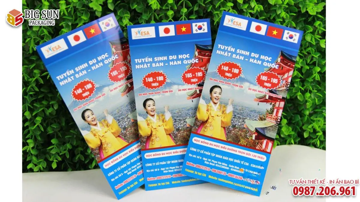 Những mẫu tờ rơi tuyển sinh du học tiếng Hàn thu hút