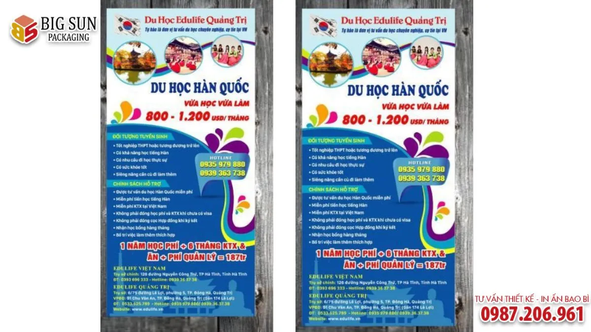 Những mẫu tờ rơi tuyển sinh du học tiếng Hàn thu hút