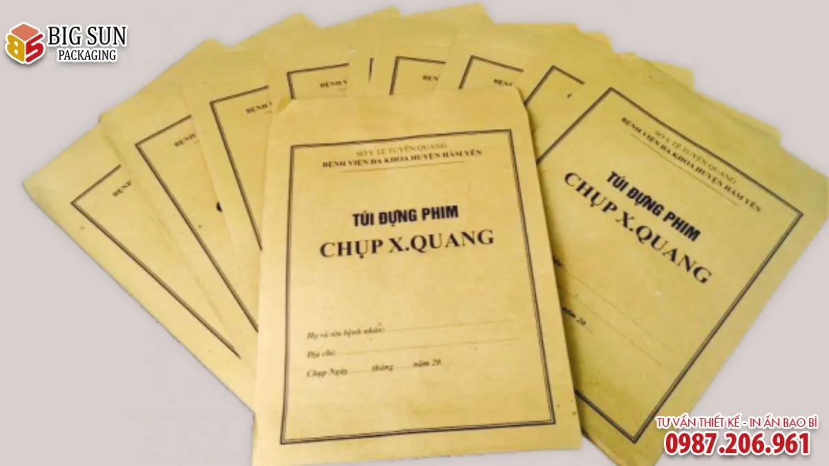 Tổng hợp 10 mẫu túi đựng bệnh án tại bệnh viện 2026 (5)