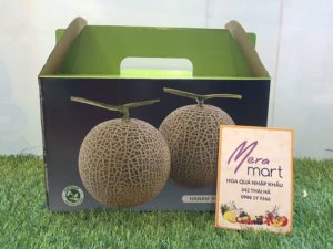 in hop carton quai xach