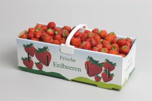 hop carton dung dau tay