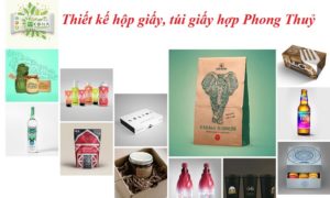 in tui giay theo phong thuy