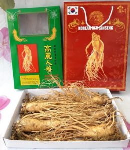 hop nhan sam 1