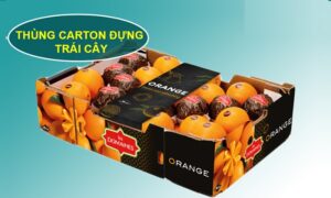 thung carton dung trai cay