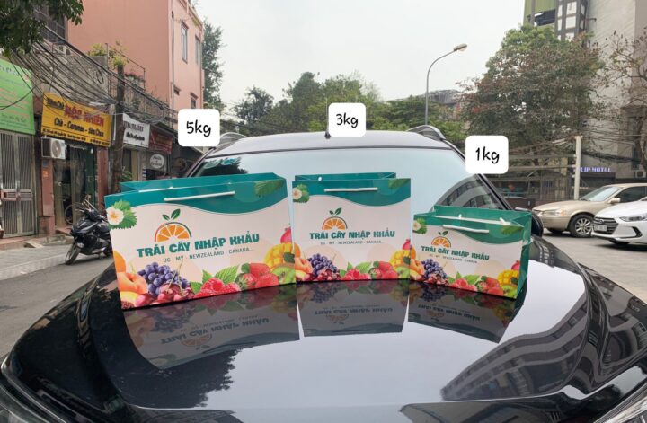 Túi Đựng Hoa Quả Nhập Khẩu In Sẵn Màu Xanh Cổ Vịt Kích Cỡ Từ 1kg – 5kg - Ảnh 4