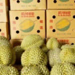 thung carton dung sau rieng