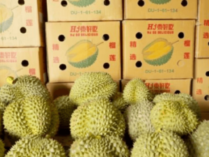 thung carton dung sau rieng