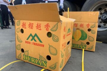 thung carton dung sau rieng