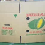 In thùng đựng sầu riêng