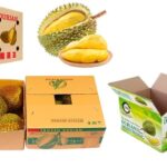 thung carton dung sau rieng