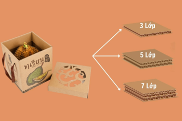 In hộp đựng sầu riêng