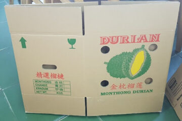 In thùng đựng sầu riêng