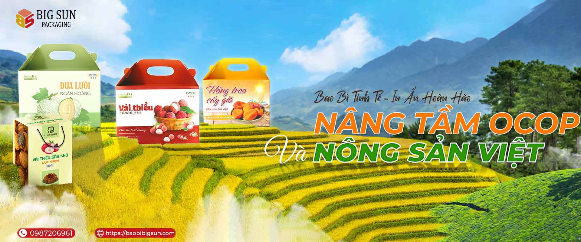 anh-bia-in-bao-bi-ocop-bigsun(1)