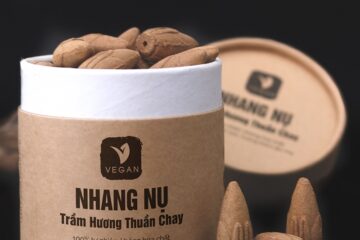 in hop dung nu tram 4