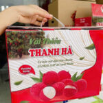 in thùng carton đựng vải thiều Thanh Hà