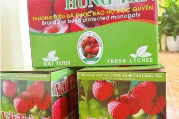 in thùng carton đựng vải trứng hưng yên