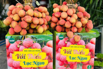 in thùng carton đựng vải thiều lục ngạn