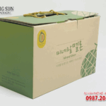in thùng carton đựng dưa lưới có quai xách