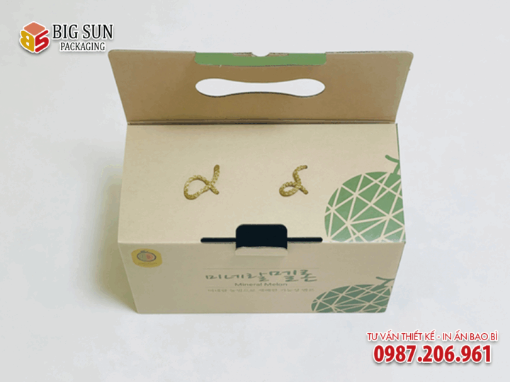 In thùng carton đựng dưa lưới có quai xách - Ảnh 3