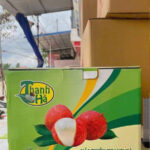 in thùng carton đựng vải thiều Thanh Hà