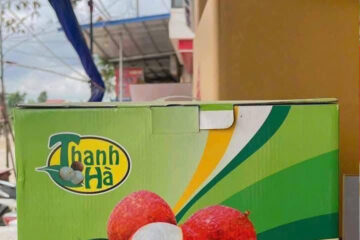 in thùng carton đựng vải thiều Thanh Hà