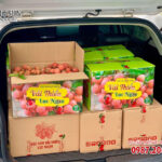 in thùng carton đựng vải thiều lục ngạn