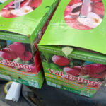 in thùng carton đựng vải trứng hưng yên