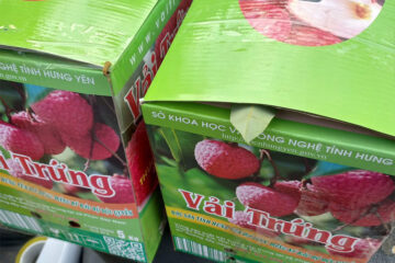 in thùng carton đựng vải trứng hưng yên