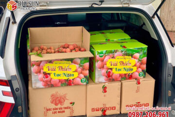 in thùng carton đựng vải thiều lục ngạn