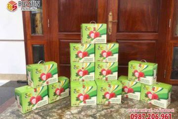 in thùng carton đựng vải thiều Thanh Hà