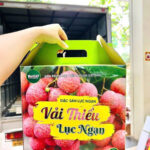 in thùng carton đựng vải thiều lục ngạn