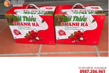 in thùng carton đựng vải thiều Thanh Hà