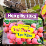 in thùng carton đựng vải thiều lục ngạn