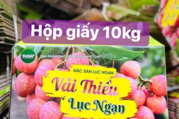 in thùng carton đựng vải thiều lục ngạn