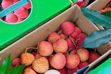 in thùng carton đựng vải trứng hưng yên